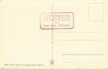 01824 Koenigstein Steamship Landing Stage Saxon Switzerland * around 1930