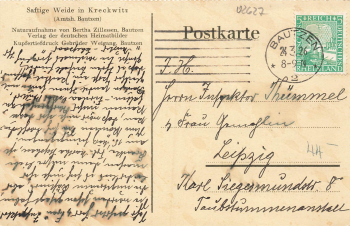 02627 Kreckwitz sheep herd o 1926