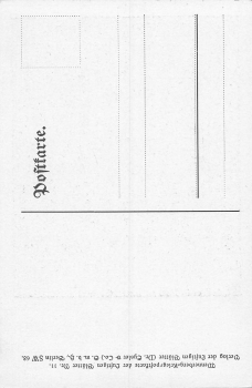 The Cousin on Holiday No. 11 Artist's Postcard Brynolf Wennerberg B.W. * around 1915