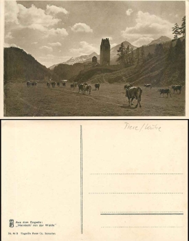 Kuhherde Heimkehr von der Weide, * ca. 1930