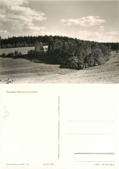 01737 Kurort Hartha Tharander Wald *1966 Hanich1425