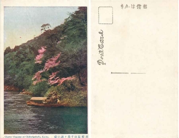 Kyoto Cherry Blossoms at Chidorigafuchi Japan * ca. 1920