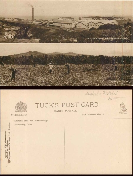 Fidschi Inseln Lautoka Mill and Surroundings Tucks * ca.1920