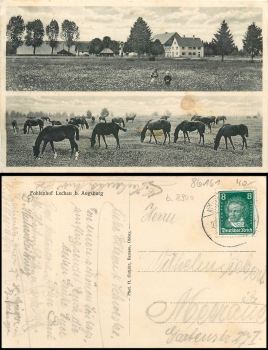 86343 Lechau Koenigsbrunn near Augsburg foal farm or 1928