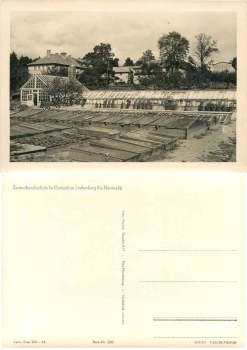 17235 Lindenberg Central Vocational School for Horticulture Greenhouse * 1962 Hanich0240