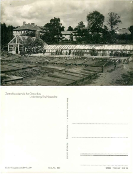 17235 Lindenberg Central Vocational School for Horticulture Greenhouse * 1962 Hanich0240