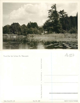 16837 Luhme Twernsee *1956 Hanich0220