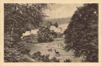 Mägdesprung Harzgerode Bahnstrecke Selketal bei heinrichsburg gebraucht um 1930