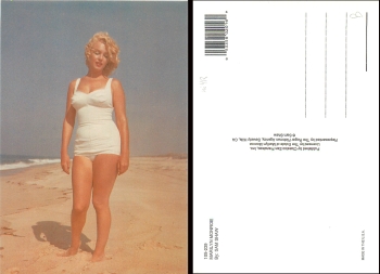 Marilyn Monroe By: Sam Shaw 105-239