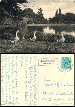 99510 Mattstedt via Apolda country postmark on postcard o 8. 10.1960