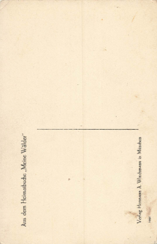 Meine Wälder Am Dorfbrunnen Künstlerkarte Otto Ubbelohde Mandt-Verlag * um 1920