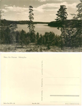 16775 Menz Nehwitz See * 1962