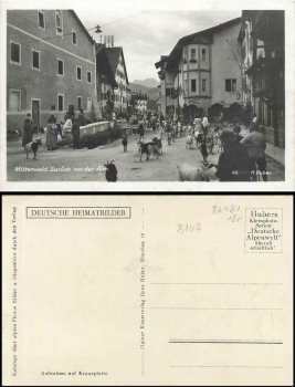 82481 Mittenwald Almabtrieb goats * approx. 1930 German homeland pictures 45