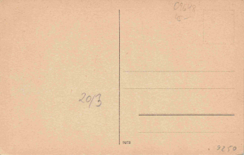 Mittweida Sachsen Brandkatastrophe am 18. Januar 1914 *