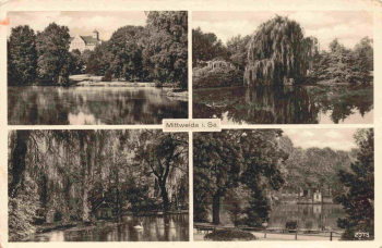 Mittweida Sachsen Mehrbildkarte *um 1950