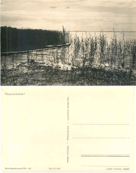 17248 Mueritz landscape I * 1962 Hanich0668