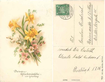Bouquet of daffodils o 30.6.1926