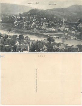 Neckargemünd Totalansicht *ca. 1907