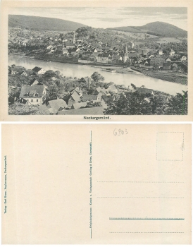 Neckargemünd Totalansicht *ca. 1910