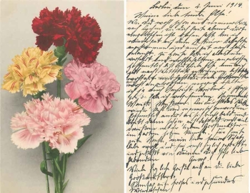 Nelkenstrauß gebr. 2.6.1914