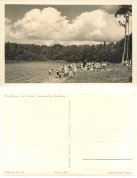 16775 Neuglobsow Badestrand am Stechlinsee *ca. 1956 Hanich0209