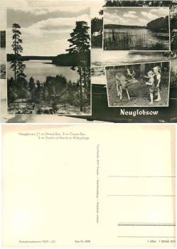16775 Neuglobsow Mehrbild *1966 Hanich1608