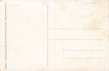 01904 Neukirch Lausitz Jahrmarkt 1910