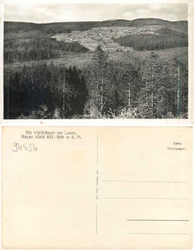 94556 Neuschonau Waldhauser am Lusen *ca.1940