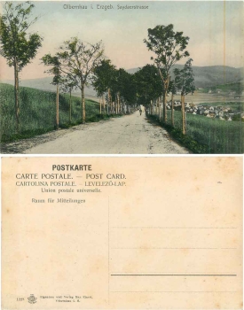 Olbernhau Saydaerstrasse * ca. 1910