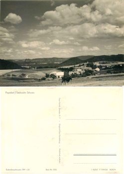 01824 Papstdorf Saxon Switzerland Cow *1963 Hanich1555