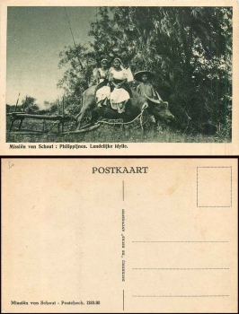 Philippines farmer with ox cart Agriculture * approx. 1930
