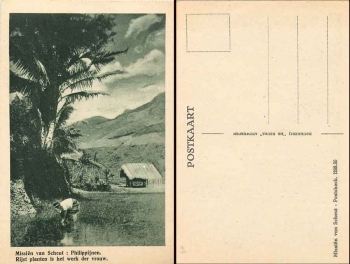 Philippines rice plantation * approx. 1930