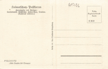 Pillnitz Dresden old linden tree near Graupa * around 1930 Heimatschutzpostkarte (local heritage postcard)