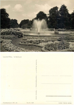 Pillnitz Dresden Schlosspark *1960 Hanich1239