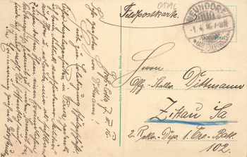 01796 Pirna Elbe Friedenspark o 1916