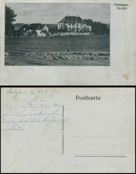 Polsingen institute br. 1949
