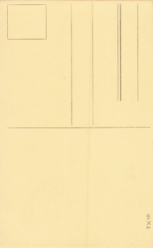 Posen Rathaus Poznan * um 1910