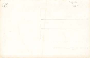 Poznan Castle * around 1940