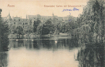 Posen Botanischer Garten Wartheland Poznan * um 1910