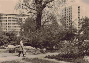 Potsdam Freundschaftsinsel alte Ansichtskarte * 1967