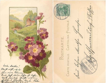 Primroses "Spring Awakening" artist card M&B 1162 o 7.3.1903