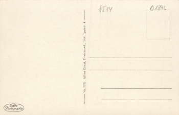 01896 Pulsnitz Schlossteich * um 1930