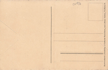 01896 Pulsnitz * um 1920