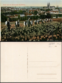 Quedlinburg City of Flowers * approx. 1920