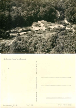 01445 Radebeul Restaurant Meierei Loessnitzgrund *1960 Hanich1321
