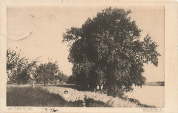 01445 Loessnitz Radebeul An der Elbe o 1933