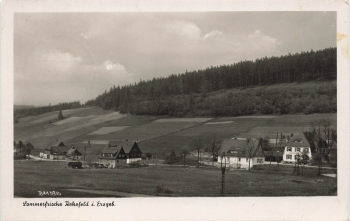01773 Rehefeld Erzgebirge Sommerfrische o 1954
