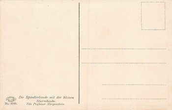 Spindlerbaude Giant Mountains Artist's postcard Morning Star * circa 1910