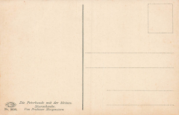 Peterbaude Giant Mountains Artist's Postcard Morning Star * circa 1910
