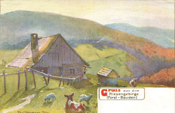 Forest Bauden Giant Mountains Artist's postcard Paul Neumann Budniki * around 1900